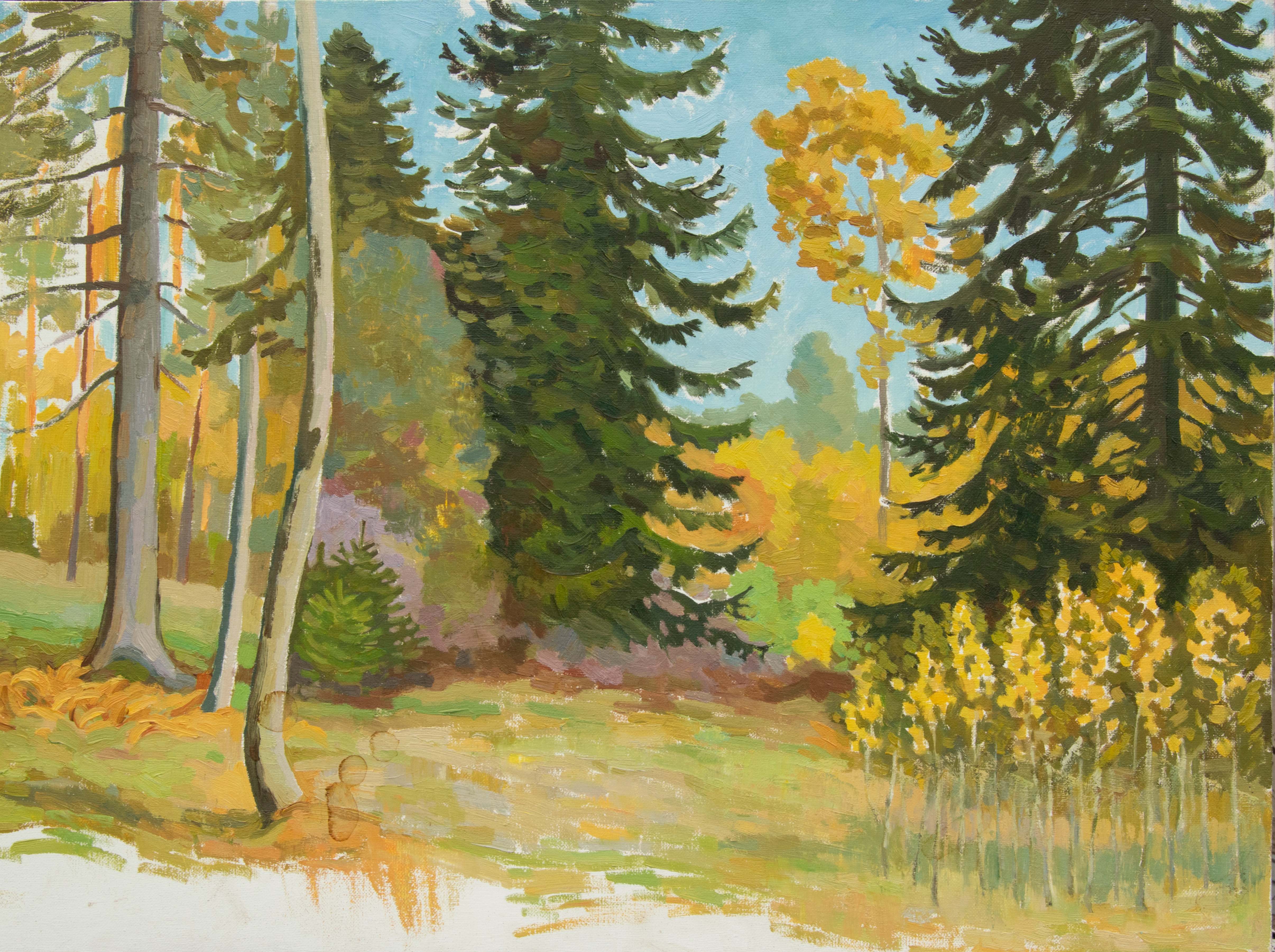Живопись. Холст. Автор:Прохоров А.А. 